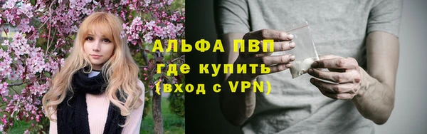 СК Каменногорск